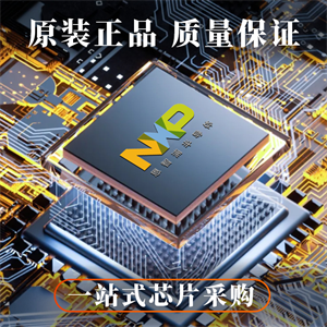 NXP恩智浦LPC1754FBD80K單片機(jī)的中文參數(shù)、應(yīng)用領(lǐng)域和功能特點